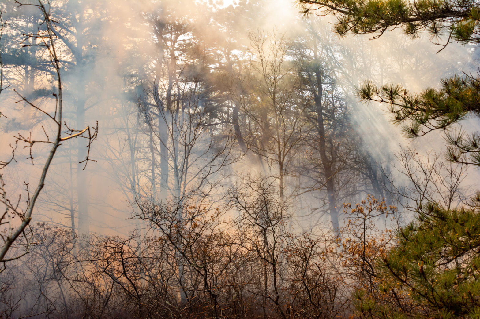 State of Emergency Declared As New Jersey Wildfire Rages Across 8,500 Acres​