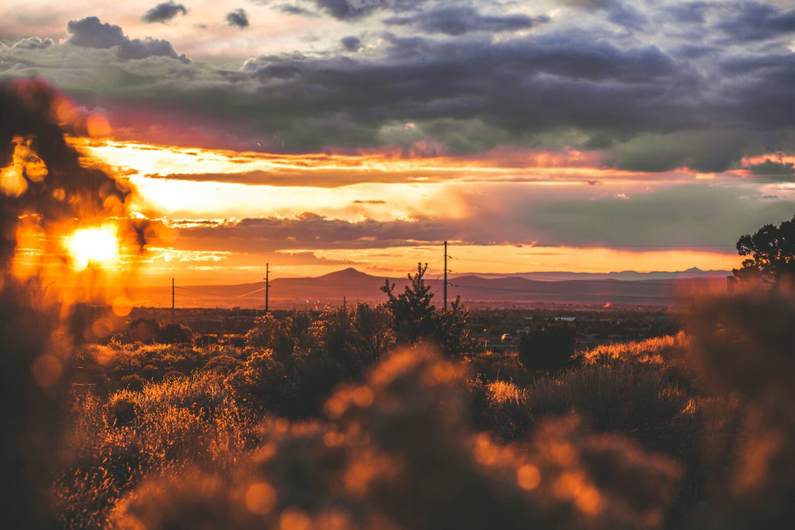 Saddle Up To Explore New Mexico, Home Of Netflix's 'Ransom Canyon' Filming Location